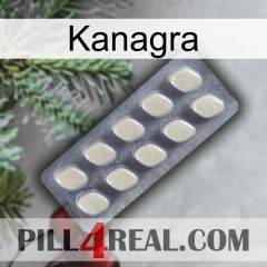 Kanagra 08